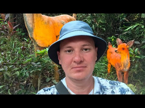 Видео: Китай Хайнань г. Санья Б.Дадунхай 7 #deaf #deafcommunity #deafworld #глухие #июль