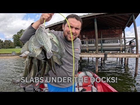 Видео: ОБЯЗАТЕЛЬНО ПОПРОБУЙТЕ метод, чтобы получить густую осеннюю рыбу под лодочными причалами ПРЯМО СЕ...