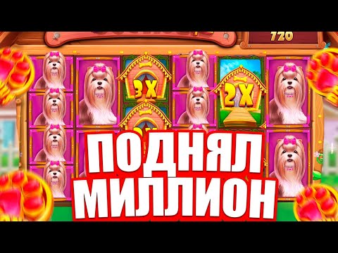 Видео: СЛОВИЛ ОГРОМНУЮ ПОЛЯНУ СОБАК В THE DOG HOUSE MEGAWAYS!!! СЛОВИЛ ЗАНОС!!! ПОДНЯЛ МИЛЛИОН!!!