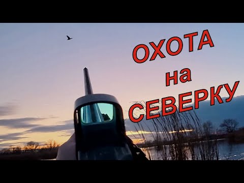 Видео: В краю лебедей: Охота на пролетную утку