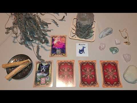 Видео: КОЗЕРОГ ♑️ ноябрь 2025