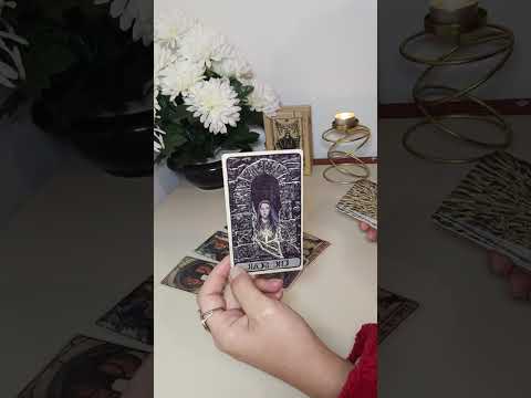 Видео: БОРЬБА ПОДХОДИТ К ЗАВЕРШЕНИЮ, ЭТО БЫЛА ДЕЙСТВИТЕЛЬНО СЛОЖНАЯ СУДЬБА 😿⌛⚖️🪃