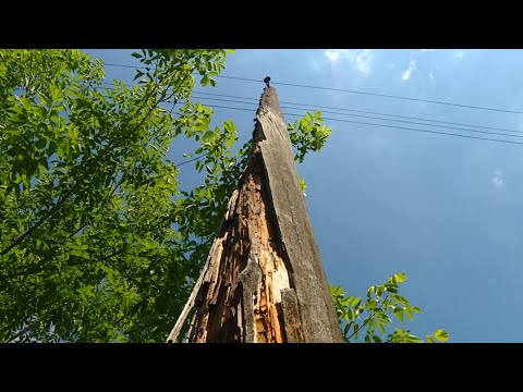 Видео: В деревне «Совхозная» покосило опоры ЛЭП