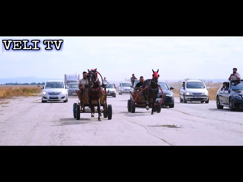 Видео: Състезание с Коне 1-Айва Ямбол