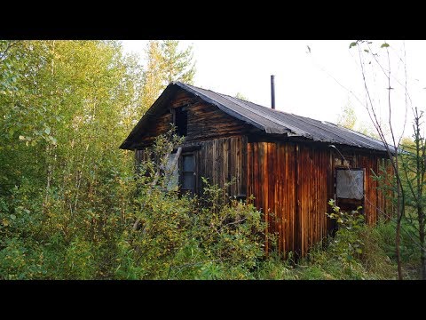 Видео: 10 дней один в глухой тайге. Одиночный поход. Старая лесная изба. Таёжный быт. Река Луза. Часть 3