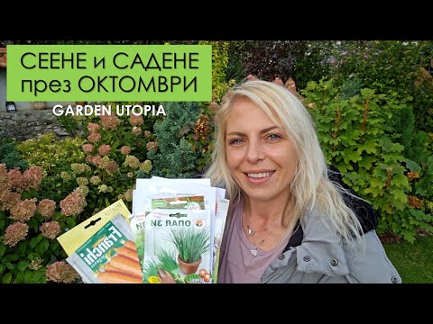 Видео: Какво да СЕЕМ и САДИМ през ОКТОМВРИ: #Ден 35 от 90 ДНИ НА СЕЛО