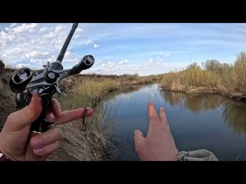 Видео: Прогулка по плёсам Карагандинской области.