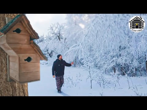 Видео: Зимняя сказка на хуторе. Двухкомнатный скворечник