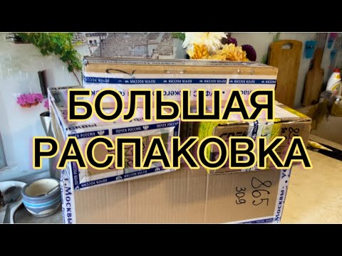 Видео: БОЛЬШАЯ РАСПАКОВКА! Корни пионов от Ворошиловой А.Б. и со всех концов страны.