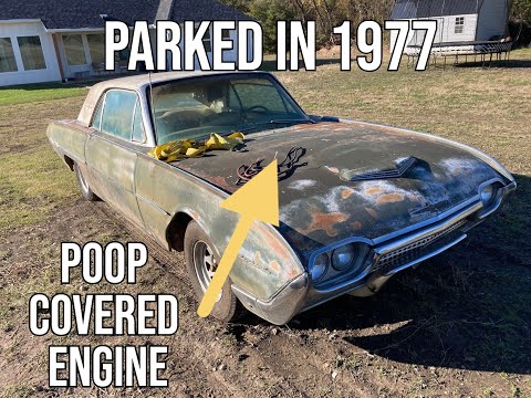 Видео: Сможет ли забытый Thunderbird 1962 года снова выйти на старт после 46 лет простоя?