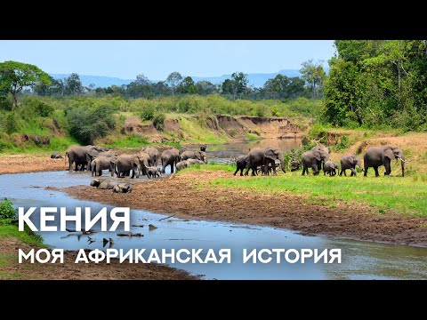 Видео: Моя африканская история | Кения