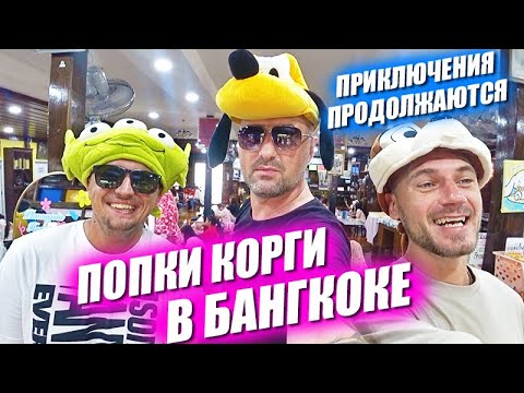 Видео: Река с варанами, храмы и очень много корги. Приключения продолжаются!