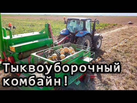 Видео: Тыквоуборочный комбайн şimşek makina.