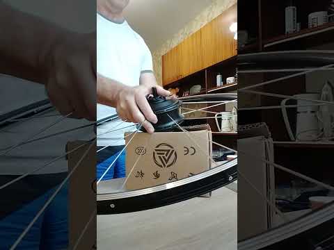 Видео: 4 декабря 2024 г.