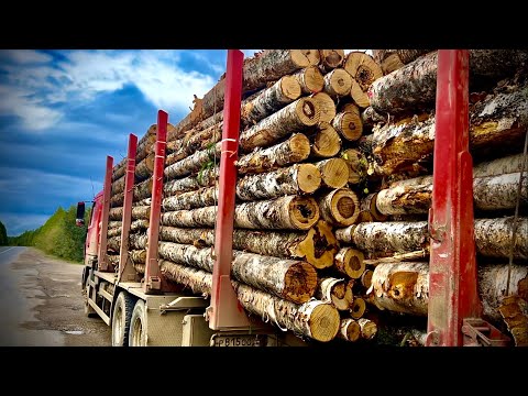 Видео: Сутки в очереди! Погрузчик как дальнобойщик!