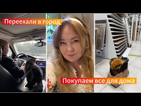 Видео: Переехали в город с кото-бандой. Моя оранжерея приводит в шок, уборка каждый день. Выбираем интерьер