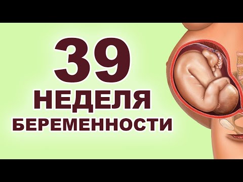 Видео: Что происходит с ребёнком и мамой на 39 неделе беременности? 9 месяц беременности. Третий триместр.