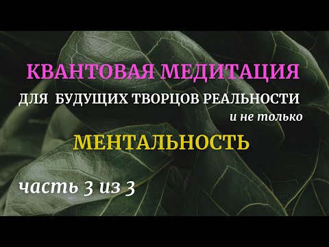 Видео: Квантовая медитация для Творцов Часть 3 Ментальность