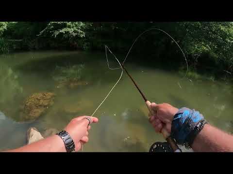 Видео: Трудни кефали на Струма. Риболов с муха и шнур. Новата ми Scierra symbiosis 7"6  #3 . Roll cast