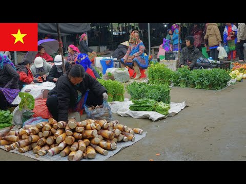 Видео: Повседневная жизнь людей на рынке Фонг Хай – Культура вьетнамских рынков
