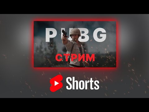 Видео: SHORTS || Через окно омон #pubg #пубг #stream #nemixxx