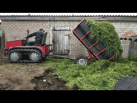 Видео: Гусеничный минитрактор помогает соседу, прививаю деревья , вожу  траву.