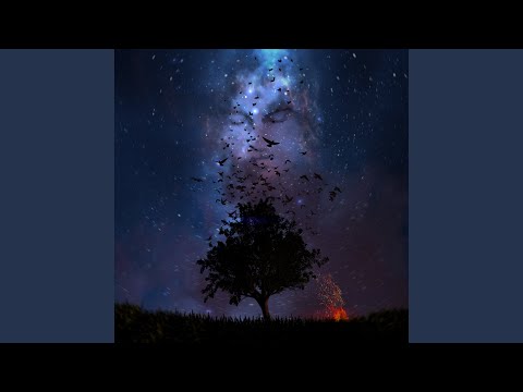 Видео: Движение