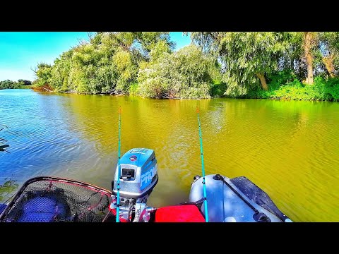 Видео: ЭТИ ЯМЫ ПОРАЗИЛИ МЕНЯ!!! САЗАН, СУДАК, КАРАСЬ, ОКУНЬ....Поймал ВСЁ, что ВОЗМОЖНО!