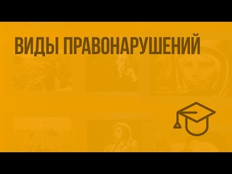Видео: Виды правонарушений. Видеоурок по обществознанию 9 класс