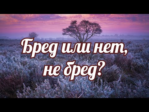 Видео: Бред или нет, не бред?