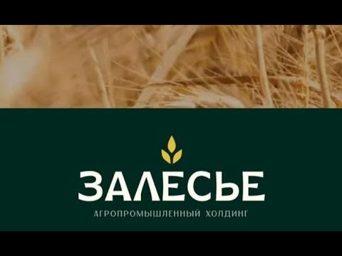 Видео: Агрохолдинг ЗАЛЕСЬЕ видеоролик