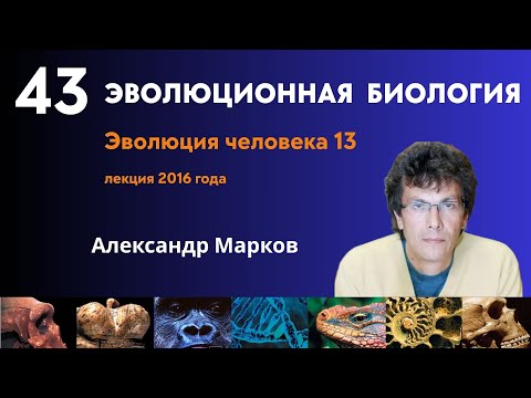 Видео: Великое расселение сапиенсов. Поиск «генов человечности»