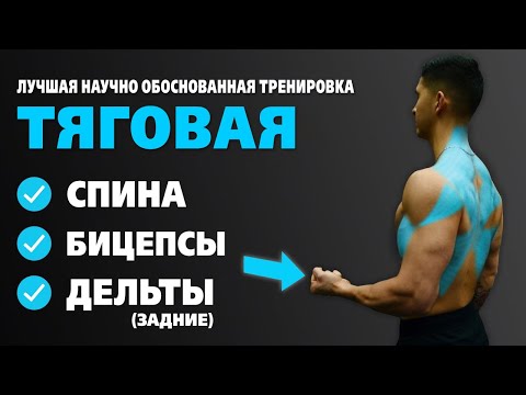 Видео: ТЯГОВАЯ тренировка. Упражнения для СПИНЫ, БИЦЕПСА, ЗАДНИХ ДЕЛЬТ. Сплит "ЖИМЫ, ТЯГИ, НОГИ"