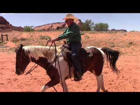 Видео: Как использовать сигналы ног для лошади. Часть 1
