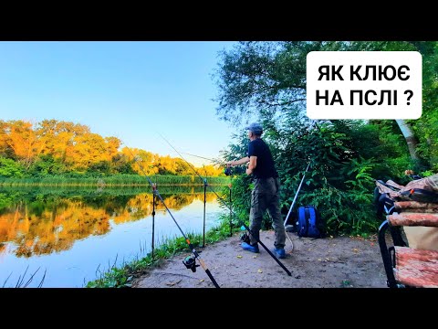 Видео: 😱 А ПІД РАНОК ПОЛІЗЛИ "КОРЧІ"❗️р.Псьол ✅️ Яка Обстановка, та як Клює БЄЛЬ на ПСЛІ в ЛИПНІ 2025го