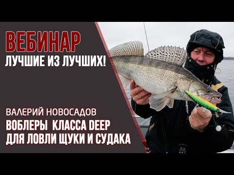 Видео: Вебинар Валерия Новосадова "Воблеры класса Deep для ловли щуки и судака"