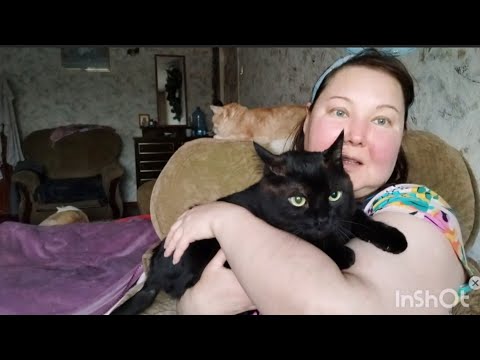 Видео: История о двух сёстрах , дурнушке Марии и содержанке VIP Тилляхон  .