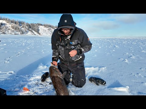 Видео: ОГРОМНАЯ ТВАРЬ СОЖРАЛА ЩУК! РАЗЬВЕ такое ВОЗМО?! Первый ЛЕД в Якутии на реке Лена.