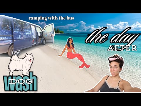 Видео: Денят след къмпингуване 🏕️