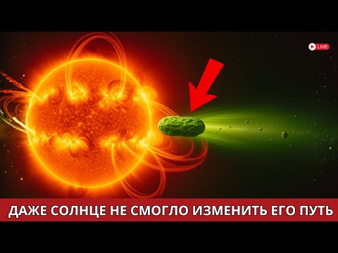 Видео: Даже самые мощные вспышки на Солнце не смогли изменить орбиту 3I/Atlas — учёные в замешательстве.