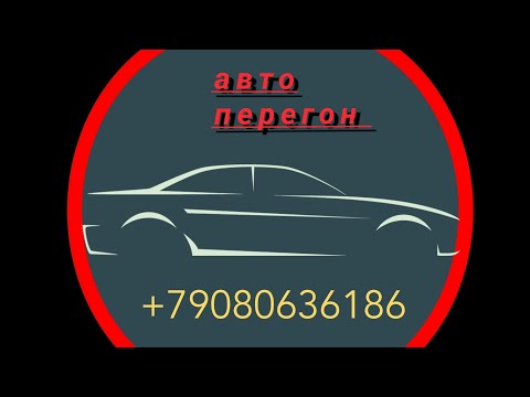 Видео: HONDA STEPWGN  еду до ИШИМа