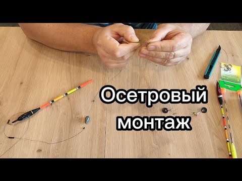 Видео: Лучший осетровый монтаж на поплавочную снасть. #осетровыймонтаж #поплавочнаяснасть #рыбалкапросто