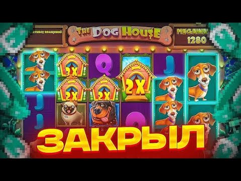 Видео: 🤑ЗАКРЫЛАСЬ ВКУСНАЯ ЛИНИЯ СОБАК АМАМ | DOG HOUSE MEGAWAYS