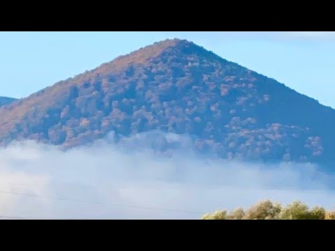 Видео: Дорога НА ЗАКАРПАТТЯ! ВІТРЯКИ в ГОРАХ! "ТЕЩИНІ ЯЗИКИ"! ГРИБИ! Цікавинки БУШТИНА, ХУСТА і не лише!