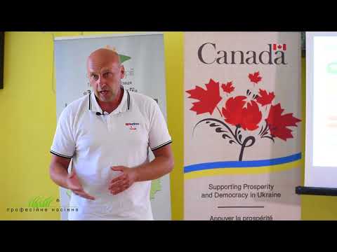 Видео: Круглый стол "Победа над фузариозом на бахчевых культурах"