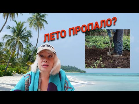 Видео: ВЛОГ/Лето пропало?@SubTatiana