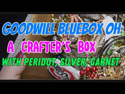 Видео: Goodwill Bluebox OH Mystery Jewelry Unboxing: серебряные гранаты-перидоты и настоящее удовольстви...