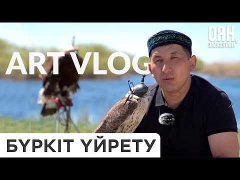 Видео: Бүркіт үйрету | ART VLOG | Шырақ Байназармен