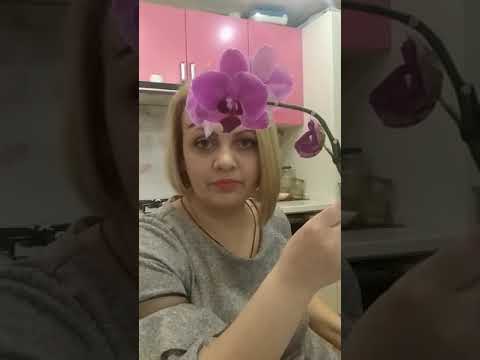 Видео: Орхидея из мастики