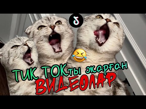 Видео: Джонни Жәнібек ең қызықты видео озвучка